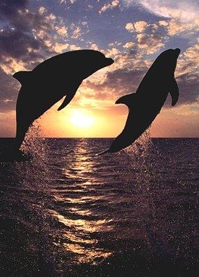 Черноризец Храбър